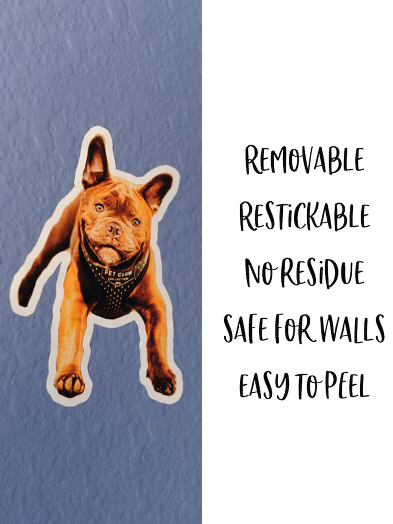 Custom Personalized Pet Photo Stickers